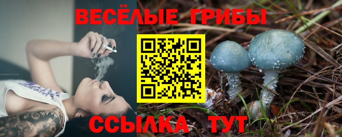 Псилоцибиновые грибы GOLDEN TEACHER Майкоп