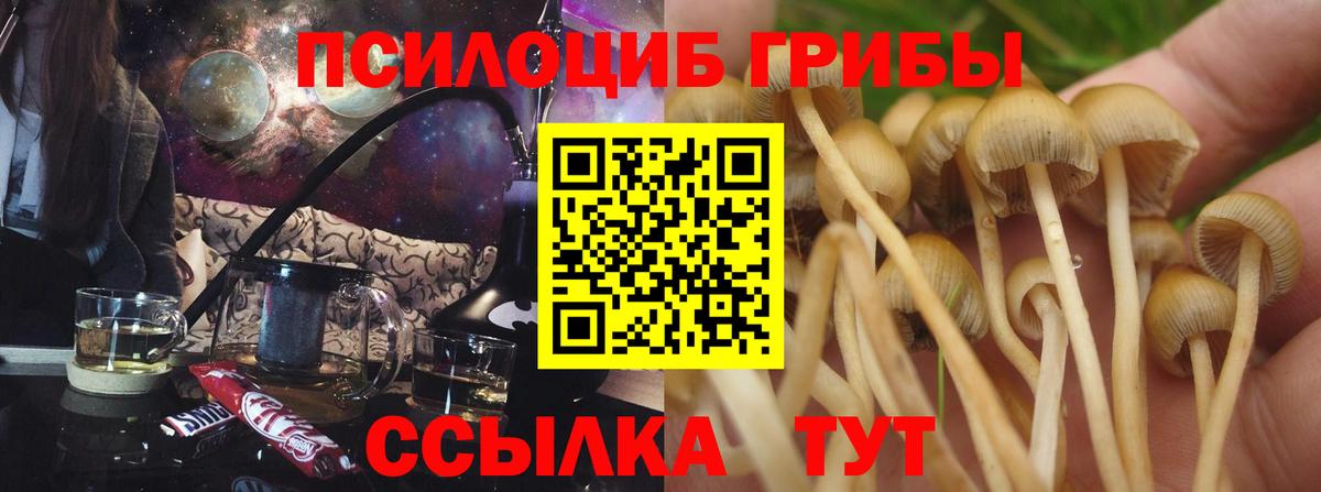 Псилоцибиновые грибы мухоморы  Вход с VPN  Майкоп 